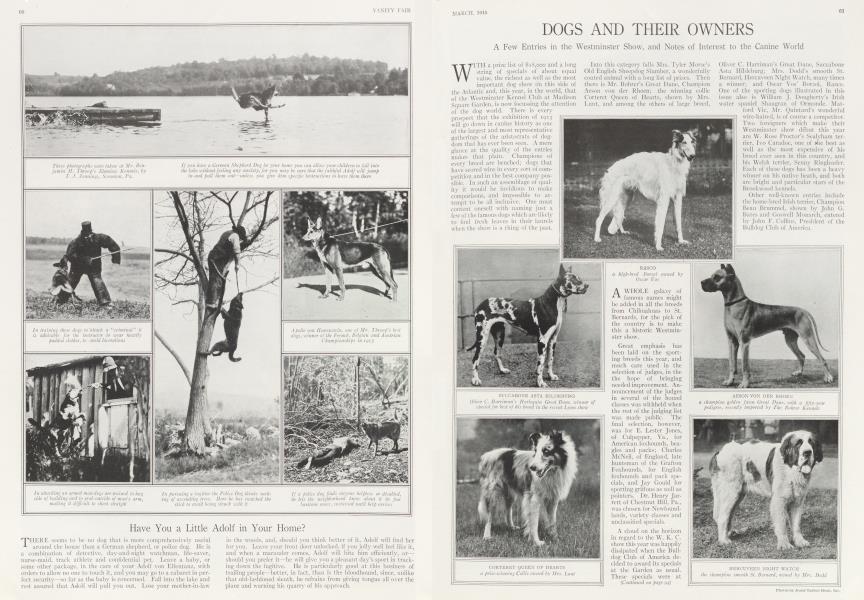 DOGS AND THEIR OWNERS | Vanity Fair | March 1915