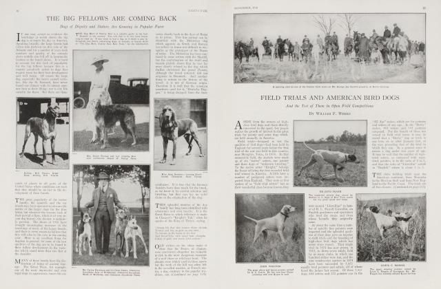 FIELD TRIALS AND AMERICAN BIRD DOGS