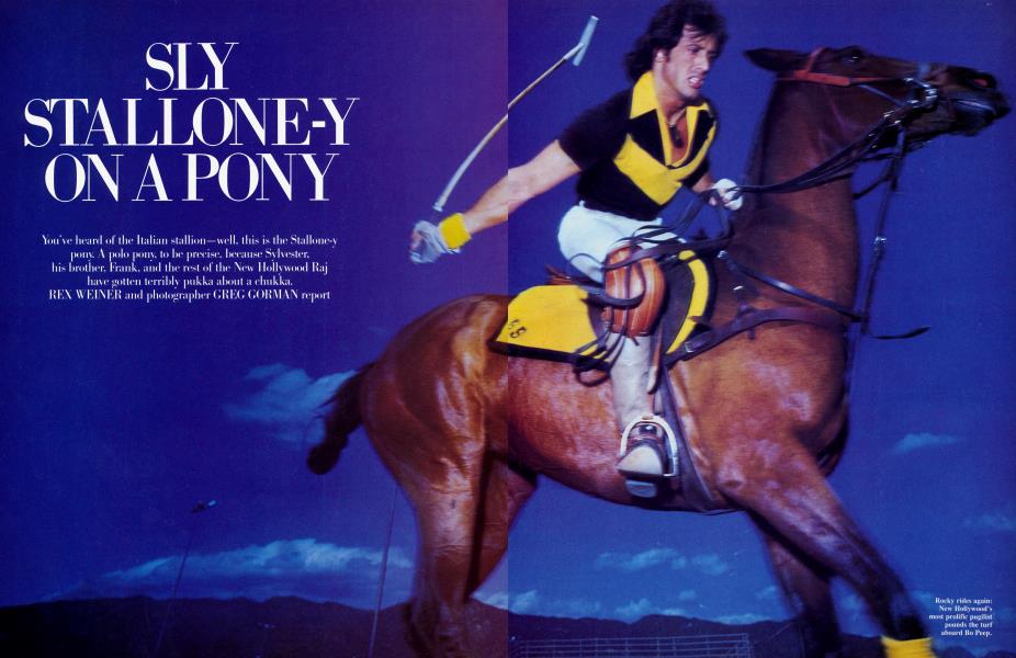 SLY STALLONE-Y ON A PONY